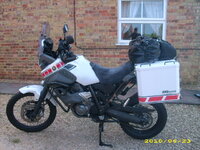 cats and boxes 020.JPG