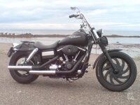 Street Bob 1.JPG