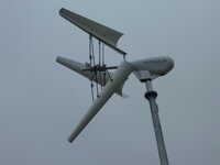 P1040259-1.JPG