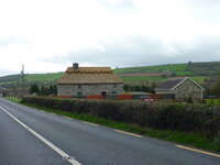 P1040230-1.JPG