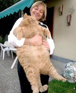 real-life-garfield.jpg