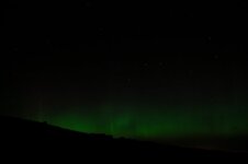 DSC_1447.JPG