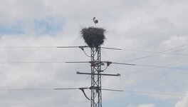 DSC_5503.JPG