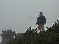 Image 128.jpg