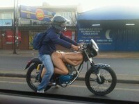 bike11.jpg