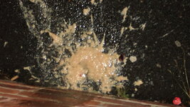 DSC00931.JPG