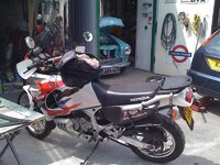 IMG_0313.jpg
