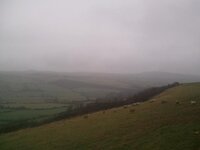 view.JPG
