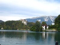 IMG_3349 (Large) (Small).JPG