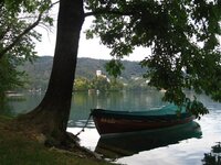 IMG_3387 (Large) (Small).JPG
