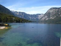 IMG_3318 (Large) (Small).JPG