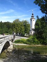 IMG_3324 (Large) (Small).JPG