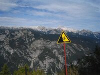 IMG_3336 (Large) (Small).JPG