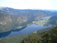 IMG_3337 (Large) (Small).JPG