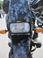 IMG_3327 (Large) (Small).JPG
