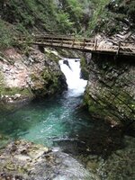 IMG_3381 (Large) (Small).JPG