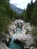 IMG_3414 (Large) (Small).JPG