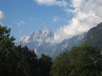 IMG_3425 (Large) (Small).JPG