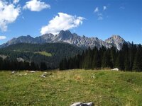 IMG_3432 (Large) (Small).JPG