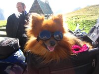 IMG_3450 (Large) (Small).JPG