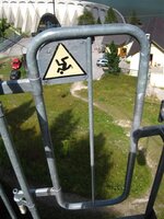 IMG_3470 (Large) (Small).JPG