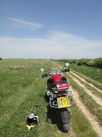 DSC00306.jpg