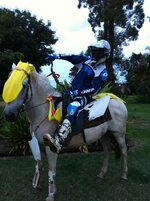 rmw horse.jpg