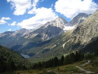 IMG_3510 (Large) (Small).JPG