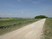 DSC00322.jpg