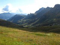 IMG_3544 (Large) (Small).JPG
