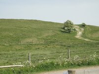 DSC00325.jpg