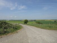 DSC00328.jpg
