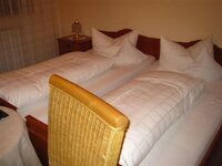 IMG_3557 (Large) (Small).JPG
