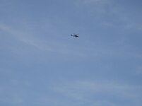 DSC00331.jpg