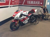 donnington park yamaha 005 (800x600).jpg