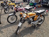 donnington park yamaha 029 (800x600).jpg