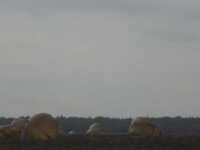 DSCN1838.JPG