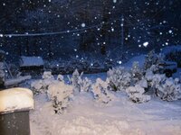 april snow.jpg