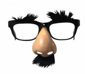 groucho glasses.jpg