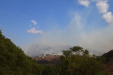 Fires 1 .1 IMG_3288.JPG