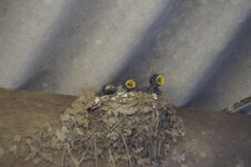WeeKend-2011 187-800.jpg