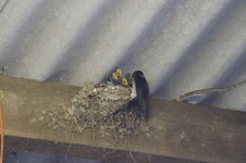 WeeKend-2011 207-800.jpg