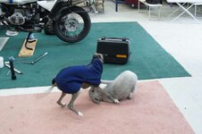 WeeKend-2011 011-800.jpg