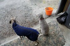 WeeKend-2011 036-800.jpg