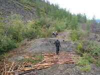 log crossing.jpg