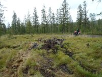 bog crossing.jpg