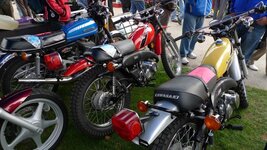 Kawasaki trails.jpg