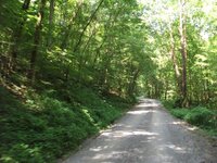 Back road.jpg
