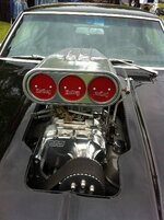 Optimized-210512 011.JPG