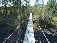 rope bridge.jpg